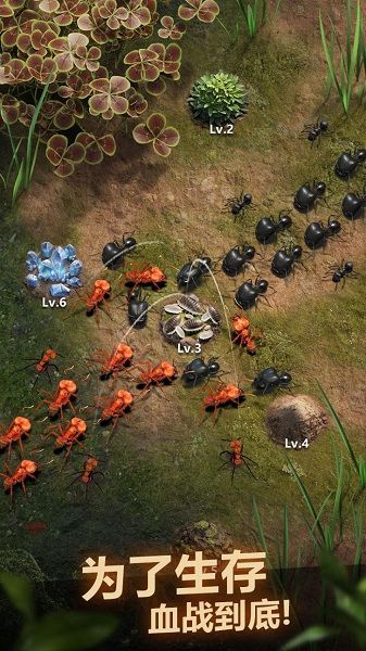 小小蚁国是款全新的蚂蚁模拟体验游戏
